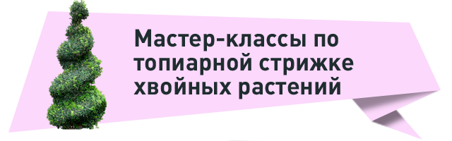 топиарная стрижка.png